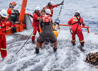 Internal Waves as an Oceanographic Driver of Ecosystem Variability