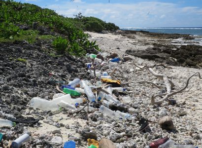 Reducing the Impacts of Plastic around the Indian Ocean Natural Environment