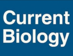 Current Biology
