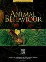 Animal Behaviour Journal